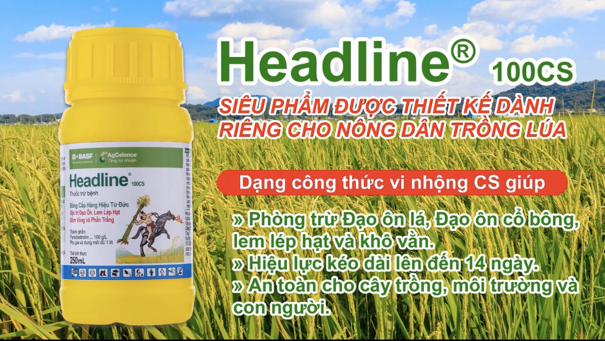 Thuốc trừ bệnh Headline 100CS - Chai 250ml